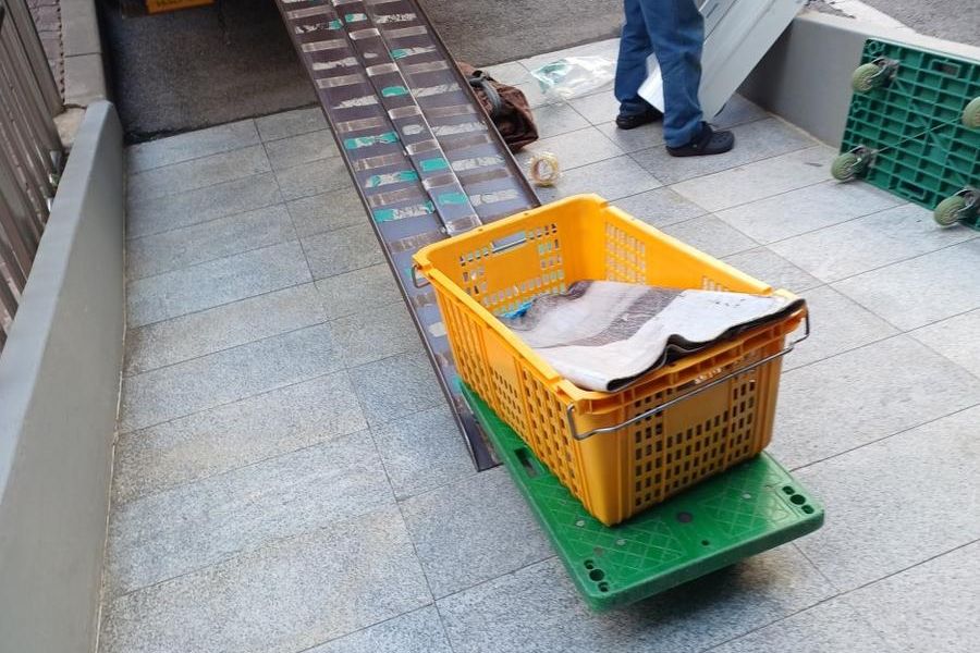 유성구 교촌동 현장 확인 사진