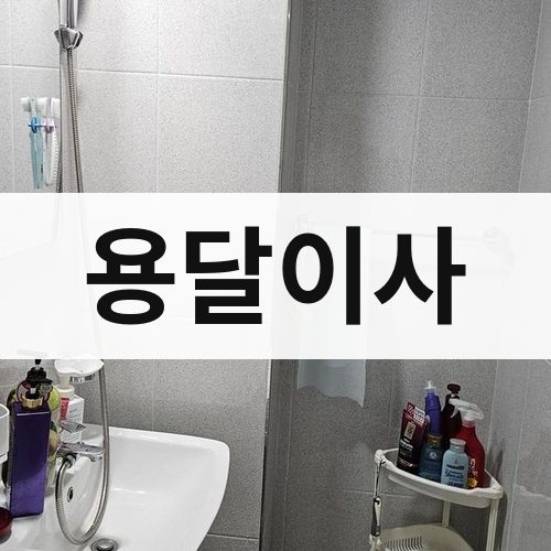 대전 서부 용달이사 포장이사