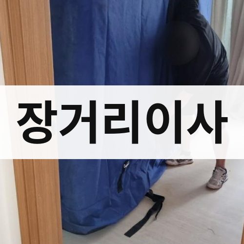 대전 서부 장거리이사 포장이사