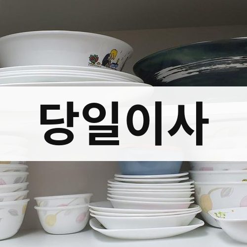 대전 서부 당일이사 포장이사