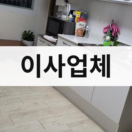 대전 서부 이사업체 포장이사